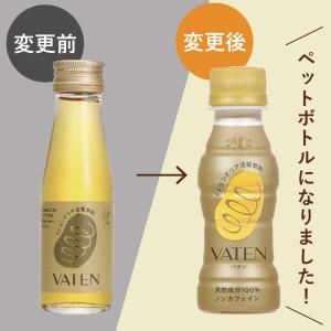 VATEN バテン 100ml 10本入【ペッ...の詳細画像1