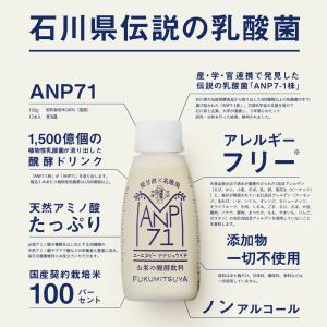 【公式】送料・クール代無料 ANP71 150...の詳細画像4