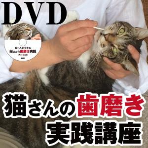 DVD 猫さんの歯磨き実践講座
