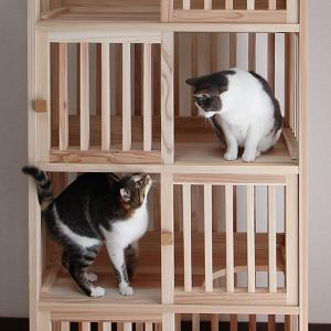 猫さんの無垢ケージ(白木タイプ)3段の詳細画像5
