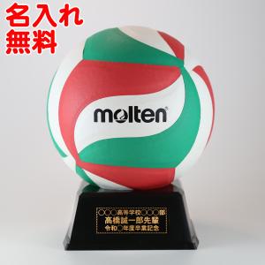 名入れ バレーボール V1M500 モルテン molten 寄書き サインボール 卒業 卒部 引退 記念品