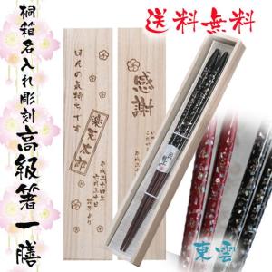 ルイヴィトン ノベルティ チョップスティック 箸2膳セット LOUIS