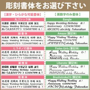 名入れ New5ファンクションペン 多機能ペン...の詳細画像3
