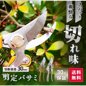 剪定ばさみ 30mm バサミ 剪定鋏 枝切りハサミ 園芸 ガーデニング