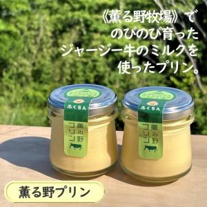 薫る野プリン プリン 6個入 手造り 濃厚 スイーツ 瓶 洋菓子 無添加 ギフト 贈答 プレゼント 贈り物 手作り ジャージー牛乳 牛乳 ミルク 養鶏場 こだわりたまご