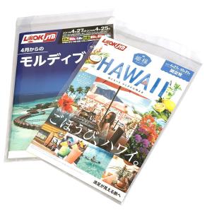 OPP袋 A4 テープ付 5000枚 T-A-...の詳細画像1
