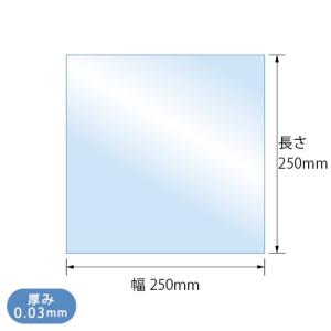 OPP袋 テープなし 100枚 250x250...の詳細画像5