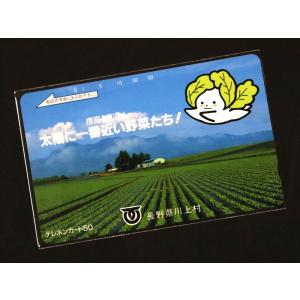 OPP袋 チェキサイズ対応 スリーブ テープな...の詳細画像2