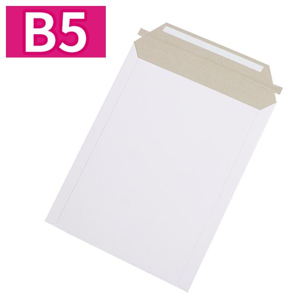 レターケース B5 50枚入 梱包箱 各種メール便対応 290x225