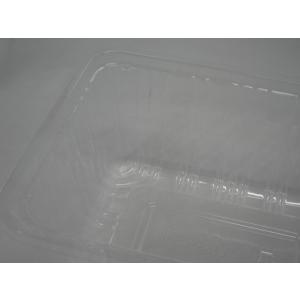 リスパック フルーツ ケース E-500 10...の詳細画像1