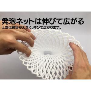 緩衝材 フルーツキャップ TSW-17 白 ダ...の詳細画像4
