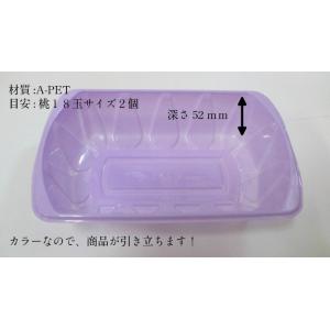 信和 カラー フルーツ ケース F-13 パー...の詳細画像2