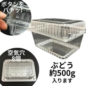 フルーツ 600 8H 穴8個 ボタン嵌合【50枚】 180(160)×130(110)×本体70+蓋30mm 信和 A-PET ぶどう約500g 蓋付 果樹 果物 容器 透明 フルーツ ケース