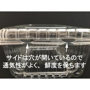 フルーツ 600 8H 穴8個 ボタン嵌合【5...の詳細画像4