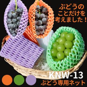 フルーツキャップ KNW-13 ゴム無 グリー...の詳細画像3