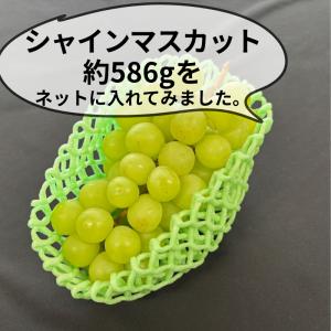 フルーツキャップ KNW-13 ゴム無 グリー...の詳細画像5