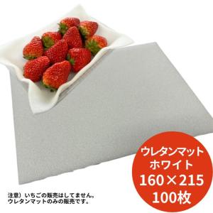 【オリジナル】ホワイト 発泡ウレタン シート 4×160×215mm 100枚 厚み 4mm いちごマット クッション 使い捨て 白 いちご 苺 フルーツマット