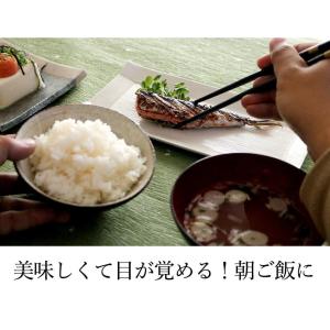 鰯めんたい 4尾×2セット 公式 辛子 めんた...の詳細画像4