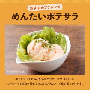 辛子めんたい風マヨネーズタイプ 300g×3セ...の詳細画像5