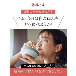 めんたい生のり(100g)×3個セット 福さ屋...の詳細画像2