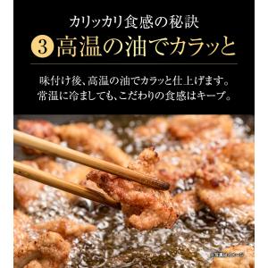 博多めんたい鶏皮揚げ 40g 博多名産 おつま...の詳細画像5
