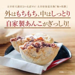 大宰府名物 酒殿屋 梅ヶ枝餅 10個入り 福さ...の詳細画像2