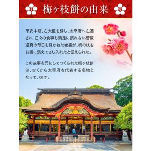 大宰府名物 酒殿屋 梅ヶ枝餅 10個入り 福さ...の詳細画像3