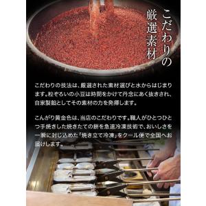大宰府名物 酒殿屋 梅ヶ枝餅 10個入り 福さ...の詳細画像5