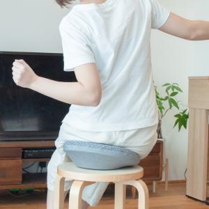 ■公式■DARWING すわルンバHOME ダ...の詳細画像1