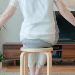 ■公式■DARWING すわルンバHOME ダ...の詳細画像2