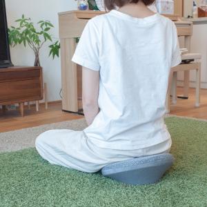 ■公式■DARWING すわルンバHOME ダ...の詳細画像3