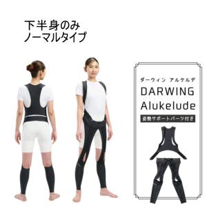 DARWING Arukelude アルケルデ ノーマルタイプ 下半身のみ 宅配便 送料無料 歩行アシスト 薄い 軽い 登山 旅行 ウォーキング