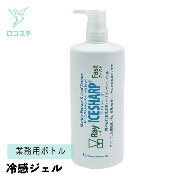 レイ アイス シャープ ファスト (業務用ボトル) 1,000g