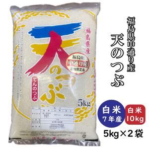 天のつぶ 米 お米 白米20kg 小分け対応 5kg×4袋 令和7年産 福島県中