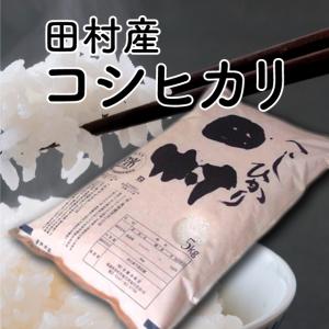 【令和5年産】田村コシヒカリ普通精米 10kg （5kg×2袋）福島県 田村市 送料込  ふくしまプライド｜fukushima-ichiba