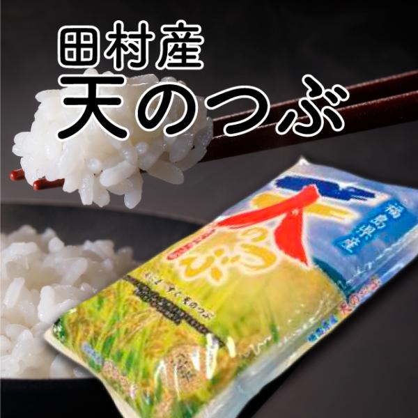 【令和5年産】天のつぶ 普通精米 10kg （5kg×2袋） 福島県 田村市 送料込  ふくしまプラ...