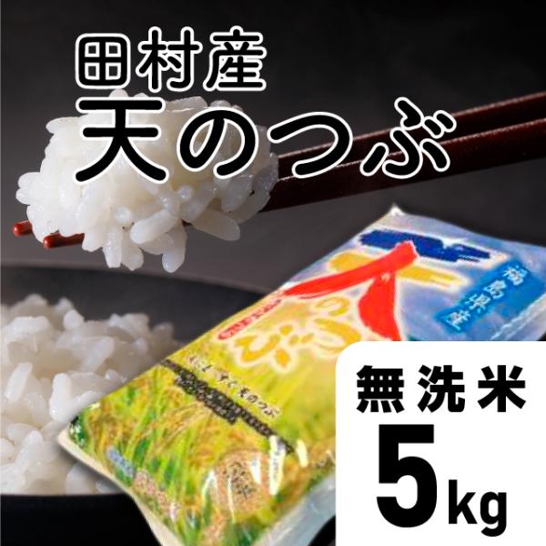 【令和5年産】天のつぶ　無洗米 5kg 福島県 田村市 送料込  ふくしまプライド