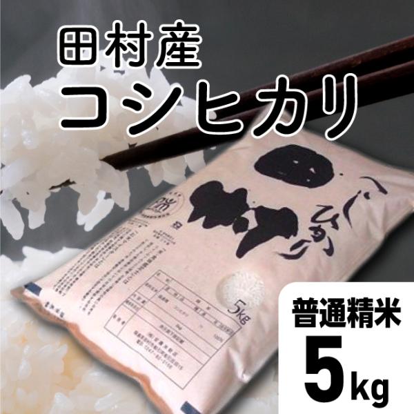 【令和7年産】田村 コシヒカリ 普通精米 5kg 福島県 田村市 送料込 こしひかり コシヒカリ精米