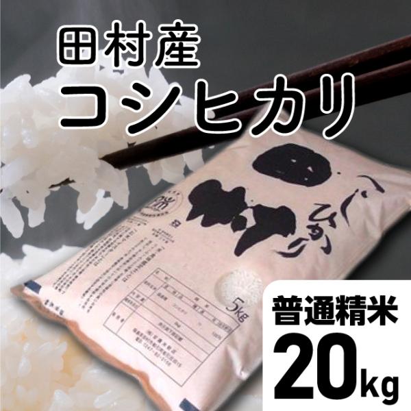【令和7年産】田村コシヒカリ 普通精米 20kg （5kg×4袋）福島県 田村市 送料込 こしひかり...