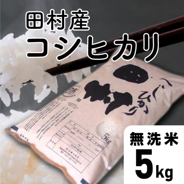 【令和7年産】田村コシヒカリ　無洗米 5kg 福島県 田村市 送料込 こしひかり コシヒカリ無洗米 ...