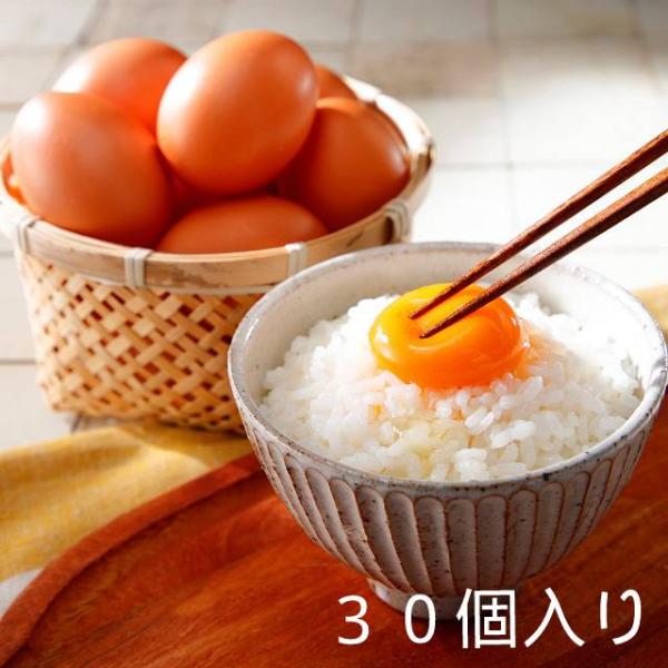 米たまご（Lサイズ）３０個入  福島県 田村市 送料込　割れ保証含む  ふくしまプライド