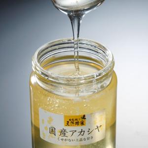 国産天然アカシヤ蜂蜜　くせがなく上品。　お中元/手土産にも/非加熱/無添加/ふくしまプライド/ギフト/福島/送料込/アカシア/国産/純粋蜂蜜