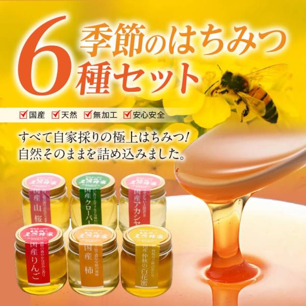 国産季節のはちみつ６種セット　お歳暮/贈答品/ギフト/福島/送料込 ふくしまプライド