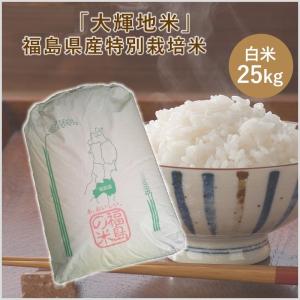 精米　令和７年産　宮城県気仙沼市産　南三陸米ひとめぼれ　10kg 令和7年産 気仙沼市産 南三陸米ひとめぼれ 10kg : 武山米店 - 通販