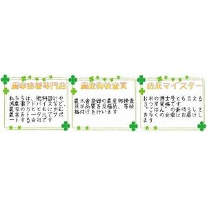令和7年新米 福島県中通り産 こしひかり 白米...の詳細画像1