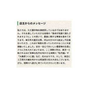 令和7年新米 福島県中通り産 こしひかり 白米...の詳細画像2