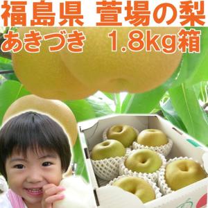 梨 幸水 かやば産 福島 約10kg箱 (18〜36玉) ギフト プレゼント 発送