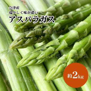 会津産 アスパラガス 2,000g ふくしまプライド。体感キャンペーン（果物/野菜）｜fukushimasan