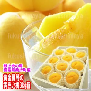 桃 黄金桃 黄貴妃等 福島県 献上桃の郷 桑折町産 3kg箱 6〜12玉入 ふくしまプライド。体感キャンペーン（果物/野菜）