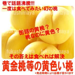 桃 黄金桃 黄貴妃等 福島県 献上桃の郷 桑折...の詳細画像1